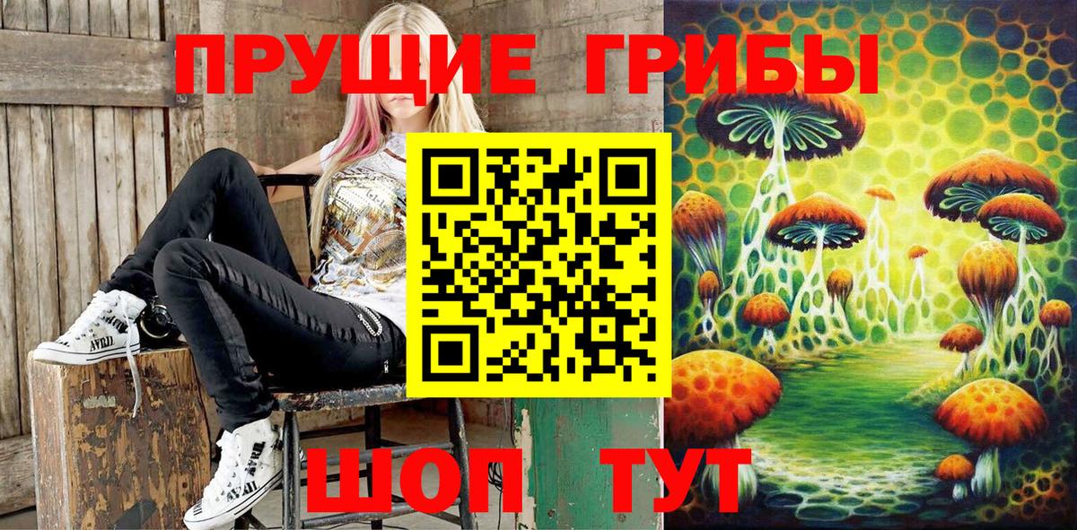 где можно купить   Псилоцибиновые грибы GOLDEN TEACHER  Вход с VPN  Архангельск  Галлюциногенные грибы GOLDEN TEACHER 