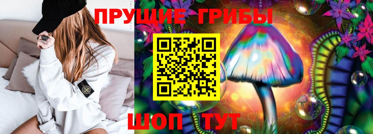 Галлюциногенные грибы Psilocybe Архангельск